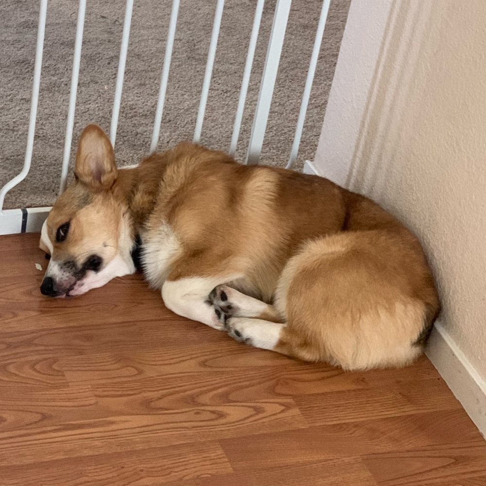 Meet your Posher, Micheala